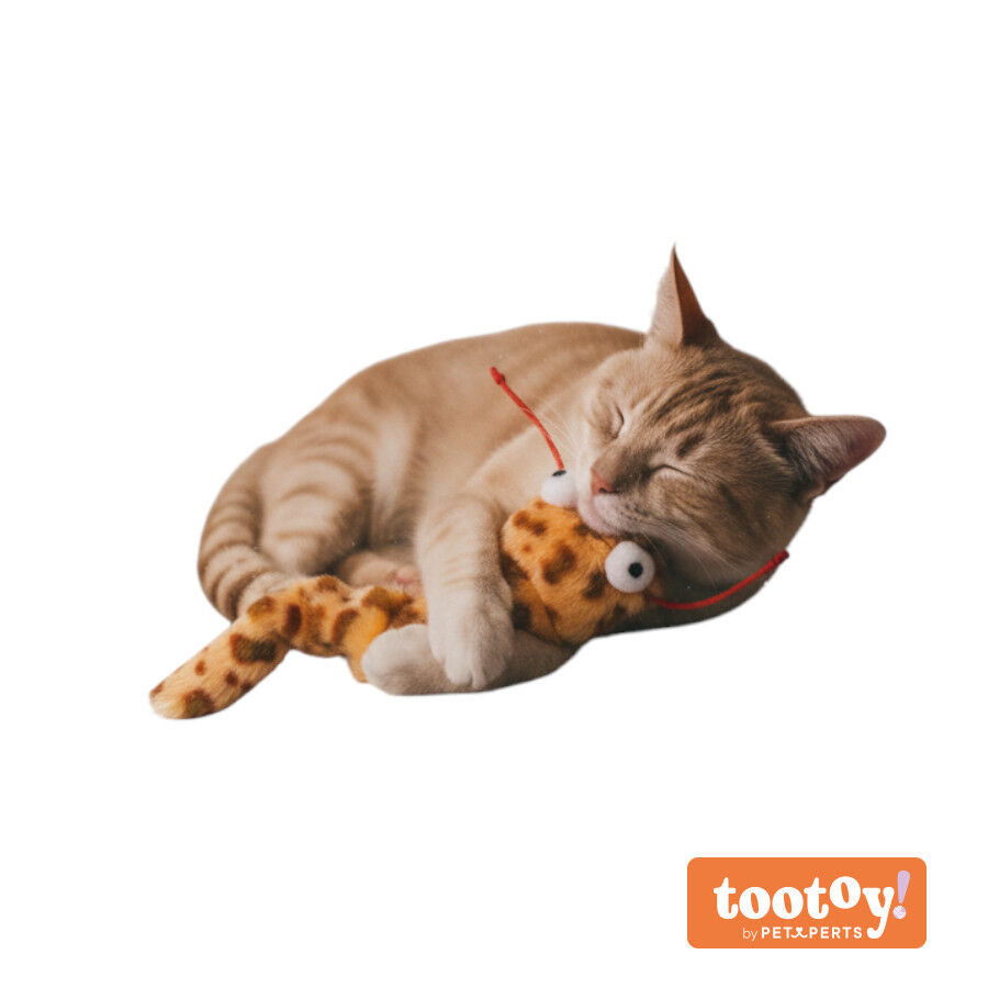 Tootoy! Comfort & Relax Peluche cobra para gatos, , large Imagem n&uacute;mero 9