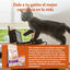 85 g Wellness Core Kitten Frango em Patê para gatinhos, , large Indicador imagem número 4