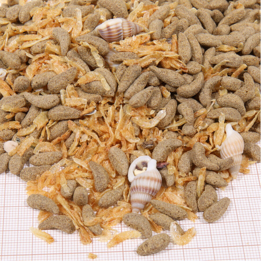 JBL Proterra Molluscus alimento para tartarugas, , large Imagem n&uacute;mero 2