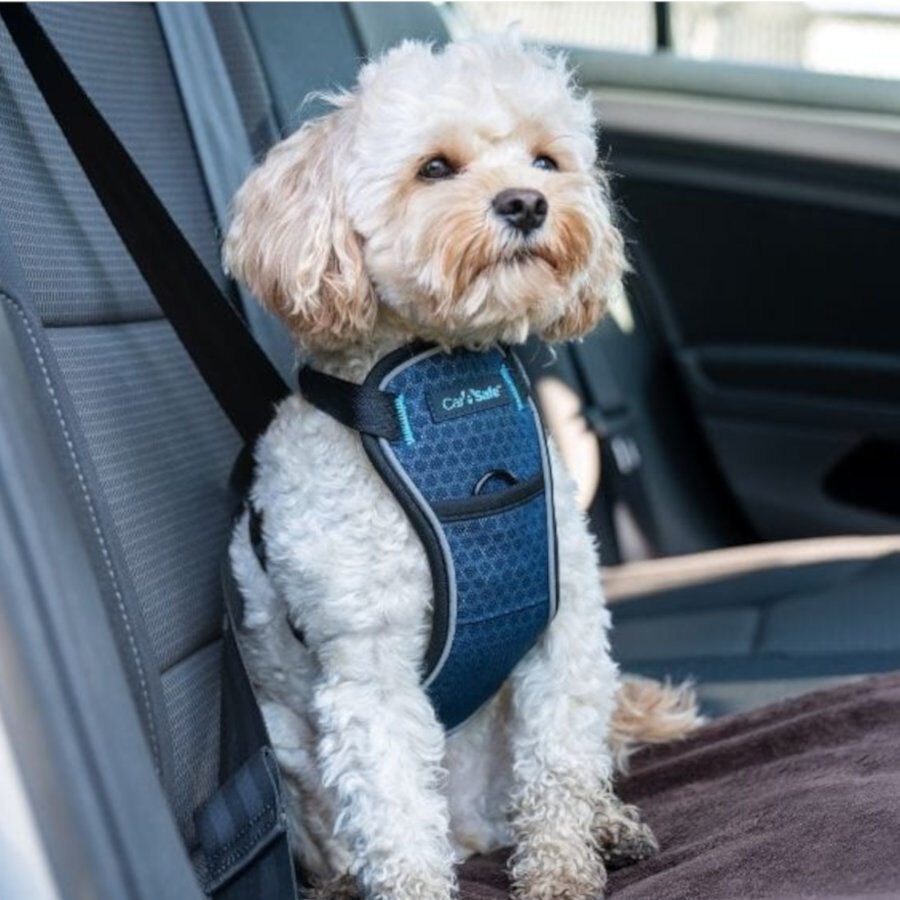 CarSafe Peitoral para carro Azul para C&atilde;es, , large Imagem n&uacute;mero 2