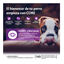 2 x 10 kg Wellness Core Puppy Small/Medium Frango e Peru ração para cães Pack poupança!, , large Indicador imagem número 3