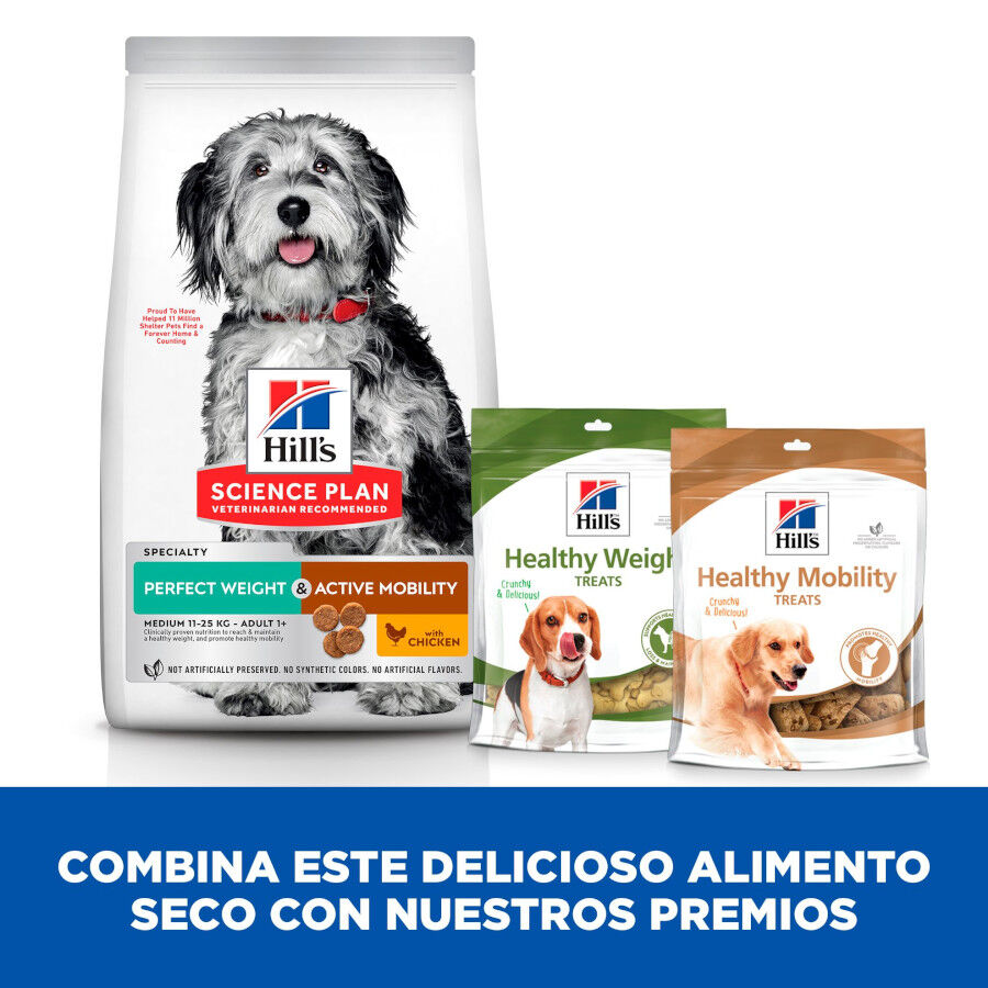 Hill's Science Plan Perfect Weight e Active Mobility Medium Frango ra&ccedil;&atilde;o para c&atilde;es, , large Imagem n&uacute;mero 9