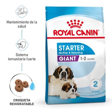 Royal Canin Starter Puppy Giant Ração