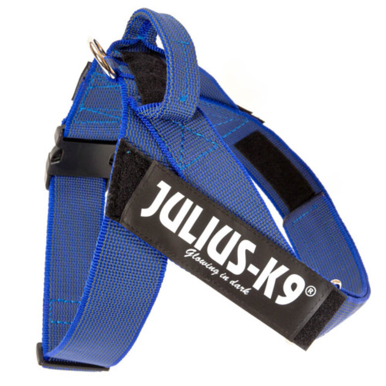 accesorio_perros_juliusk9_idc_cinta_azul_arnes_JULJ16687_M Imagem número 1 Julius K9 arnés IDC Cinta azul para perros Imagem número 1