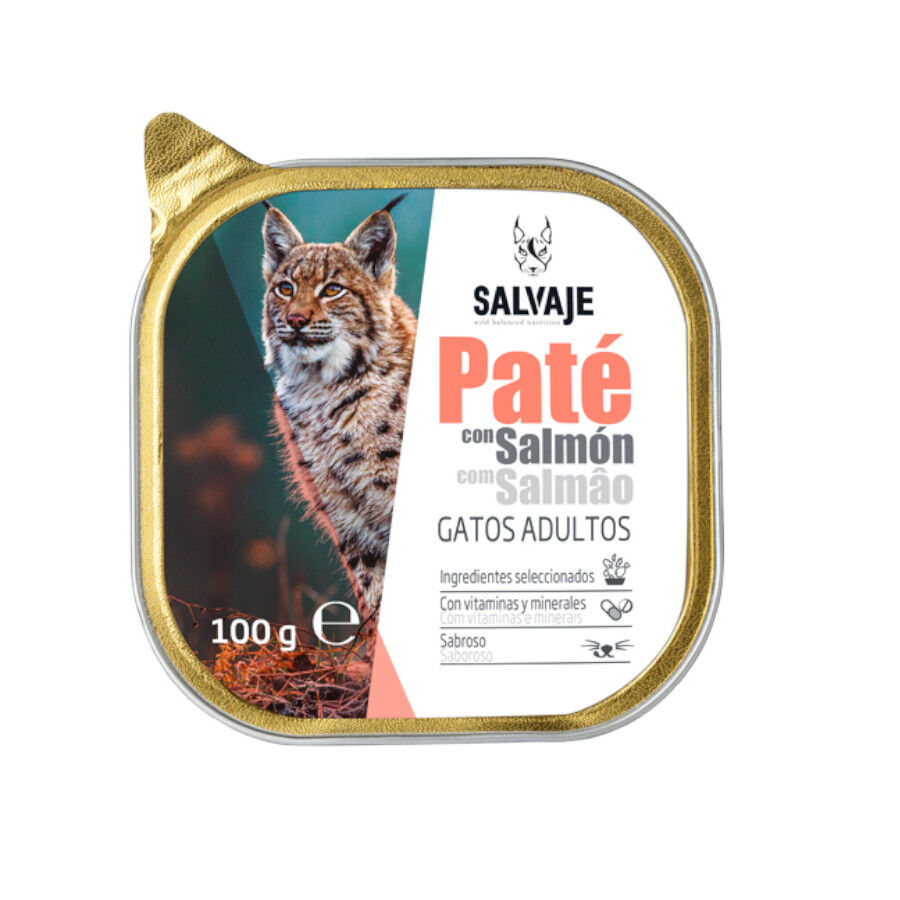 100 g Salvaje Adulto Salm&atilde;o Pat&ecirc; em terrina para gatos, , large Imagem n&uacute;mero 1