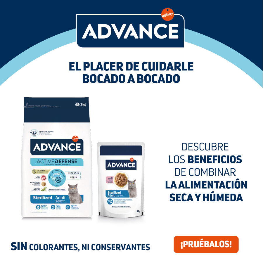 12 saquetas x 85 g (9 + 3 gratis!) Advance Adult Sterilized Peru Saqueta em Molho para gatos, , large Imagem n&uacute;mero 5
