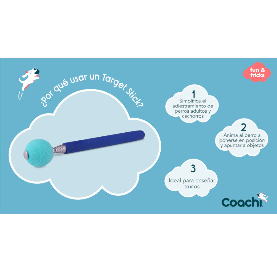 Coachi bast&atilde;o de treino para c&atilde;es, , large Imagem n&uacute;mero 3