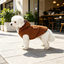 Gotoo Casaco Teddy Castanho para c&atilde;es, , large Indicador imagem n&uacute;mero 1