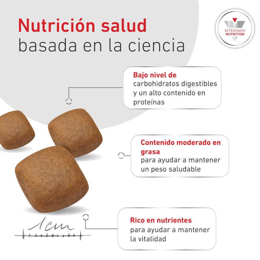 12 kg Royal Canin Veterinary Diabetic ra&ccedil;&atilde;o para c&atilde;es , , large Imagem n&uacute;mero 6