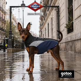 Gotoo Capa de Chuva Refletora Azul-Acinzentada para c&atilde;es