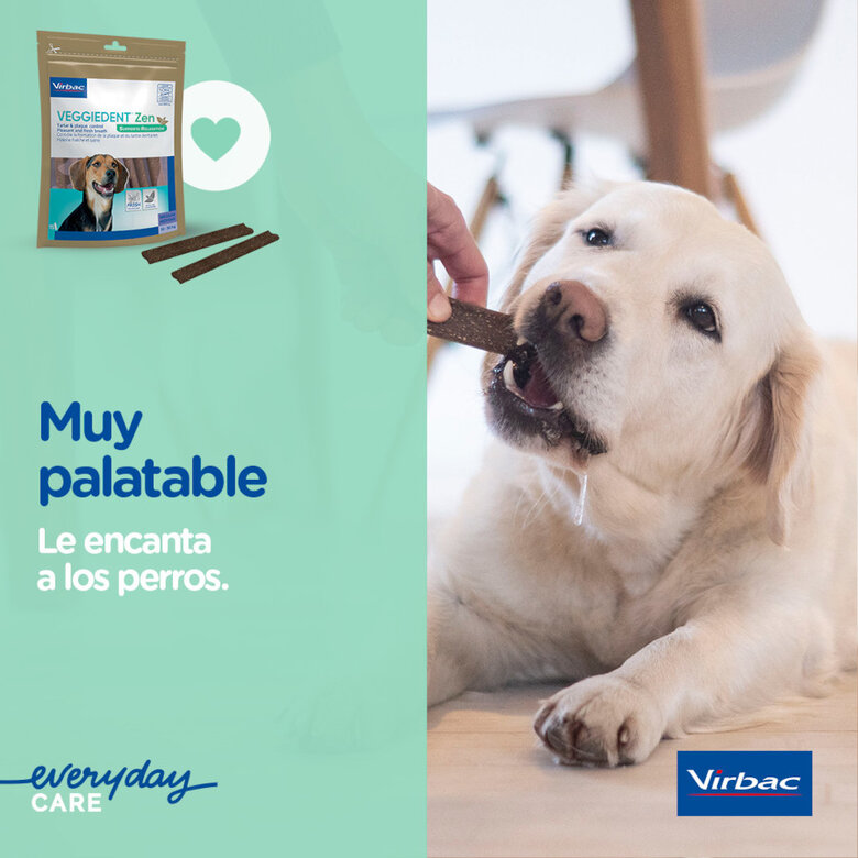 15 sticks Virbac Láminas Veggiedent Zen XS para cães,  Imagem número 7 15 sticks Virbac Láminas Veggiedent Zen XS para cães, , large Imagem número 7