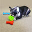 Kong Quest Mastigador de osso para cães, , large Indicador imagem número 2