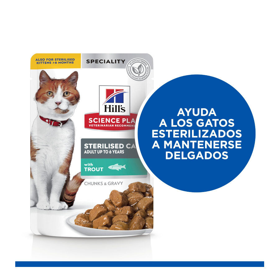 85 g Hill's Young Adult Science Plan Sterilised Truta Saqueta em Molho para gatos, , large Imagem n&uacute;mero 4