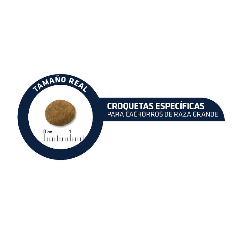 14 kg Advance Active Defense Maxi Junior Frango e Arroz ração para cães,  Imagem número 3 14 kg Advance Active Defense Maxi Junior Frango e Arroz ração para cães, , large Imagem número 3