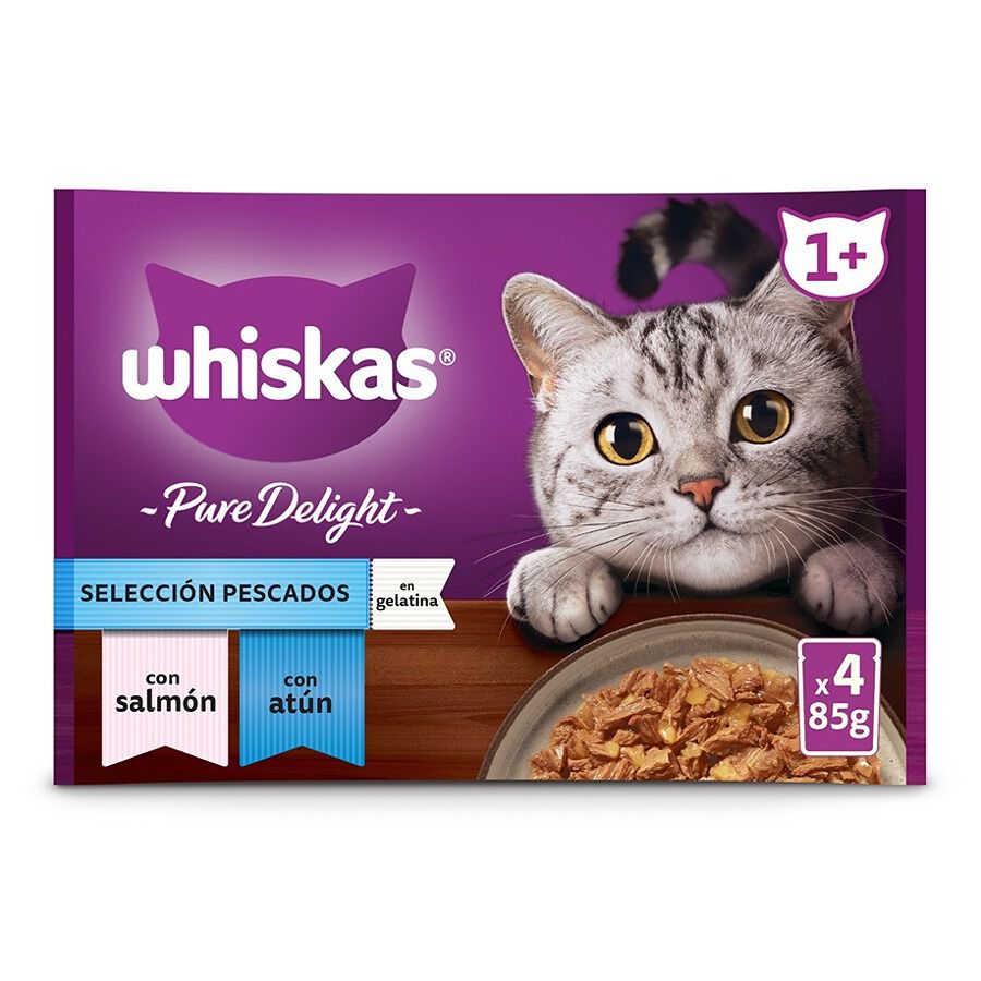 4 saquetas x 85 g Whiskas Casserole Peixes Geleia em Saqueta para Gatos Adultos, , large Imagem n&uacute;mero 1