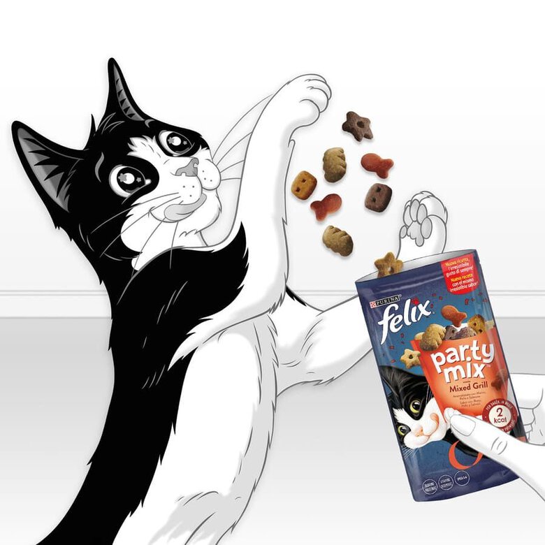 60 g Felix Biscoitos Party Mix queijo para gatos,  Imagem número 4 60 g Felix Biscoitos Party Mix queijo para gatos, , large Imagem número 4