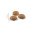 10 kg Royal Canin Active Life Outdoor pienso para gatos, , large Indicador imagem número 3