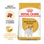 Royal Canin Adult Jack Russell Terrier ração para cães, , large Indicador imagem número 2