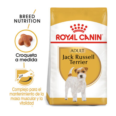 Royal Canin Adult Jack Russell Terrier ração para cães