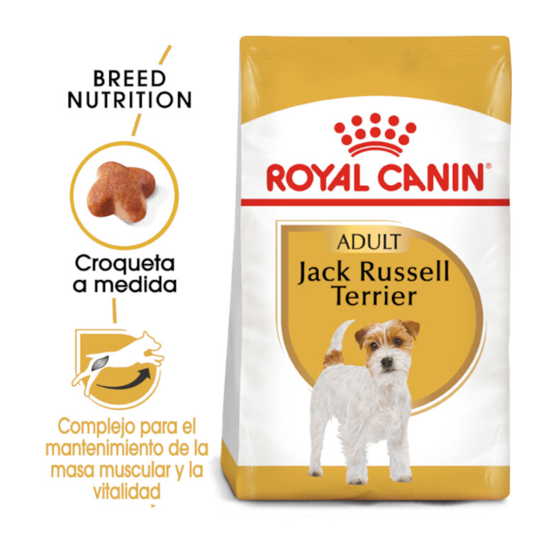 Royal Canin Adult Jack Russell Terrier ração para cães,  Imagem número 2 Royal Canin Adult Jack Russell Terrier ração para cães, , large Imagem número 2