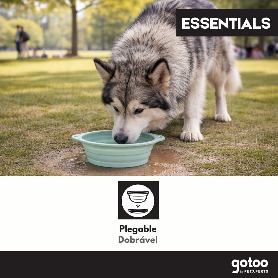 Gotoo Bebedouro Dobr&aacute;vel e Port&aacute;til em Silicone para c&atilde;es e gatos, , large Imagem n&uacute;mero 5