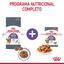 10 kg Royal Canin Appetite Control Care ração para gatos , , large Indicador imagem número 8