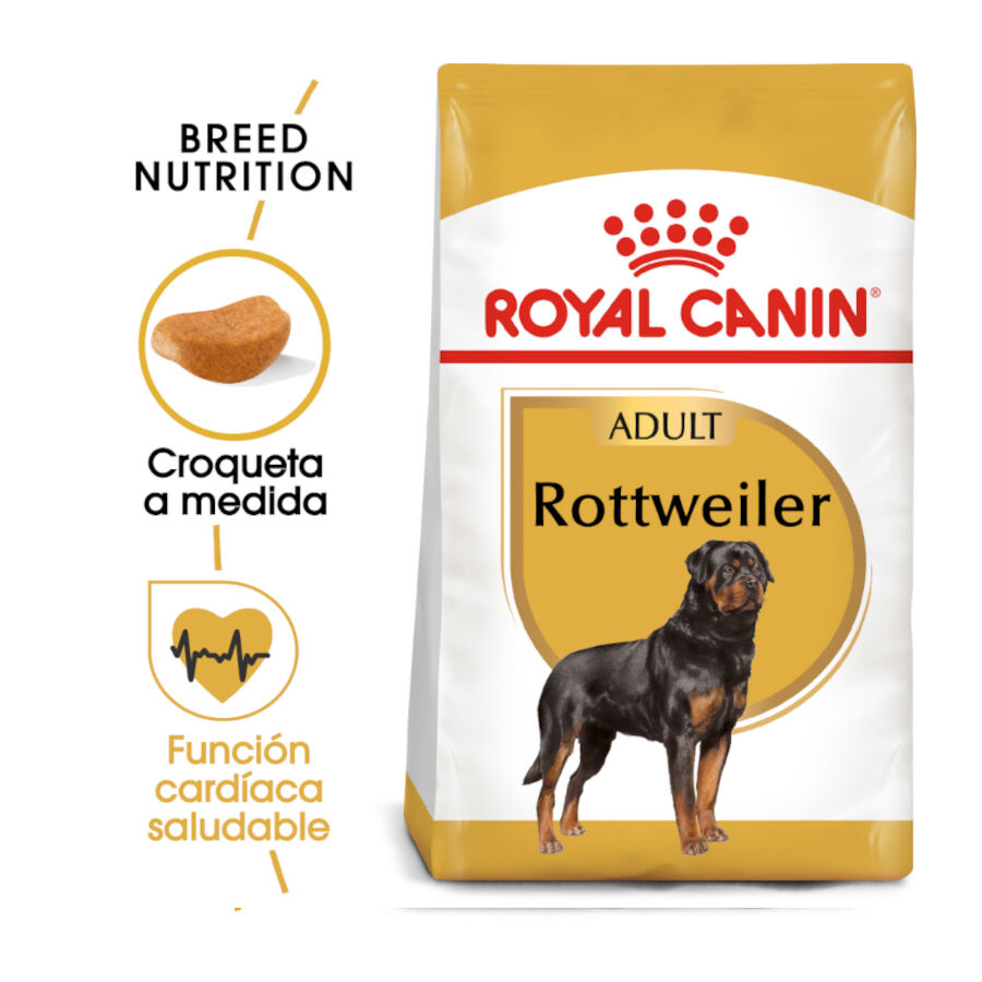 12 kg Royal Canin Adult Rottweiler ra&ccedil;&atilde;o para c&atilde;es, , large Imagem n&uacute;mero 2