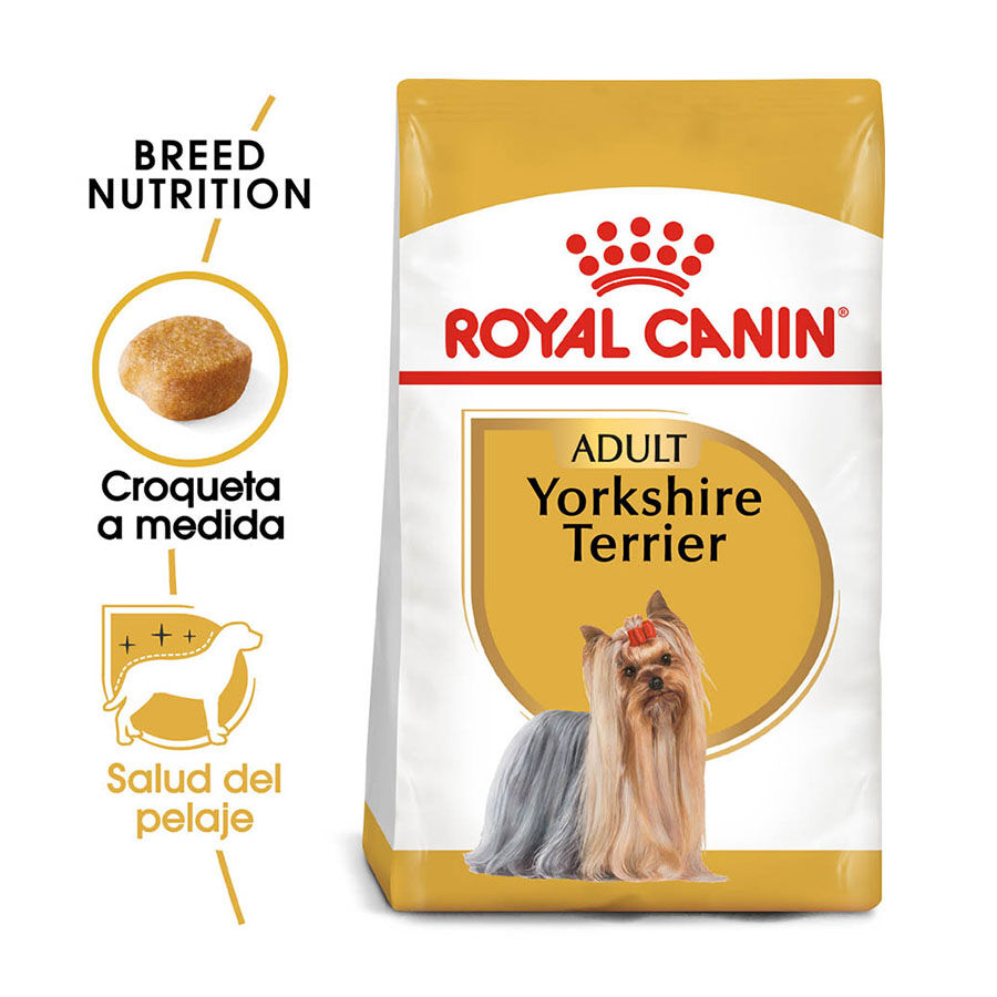 3 kg Royal Canin Adult Yorkshire Terrier ra&ccedil;&atilde;o para c&atilde;es, , large Imagem n&uacute;mero 2