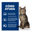 1.5 kg Hill's Prescription Diet Metabolic Atum ra&ccedil;&atilde;o para gatos, , large Indicador imagem n&uacute;mero 4