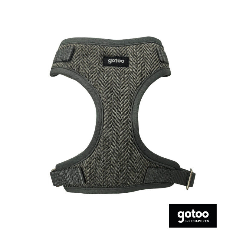 Gotoo Arn&ecirc;s ajust&aacute;vel espinha cinza para c&atilde;es, , large Imagem n&uacute;mero 2