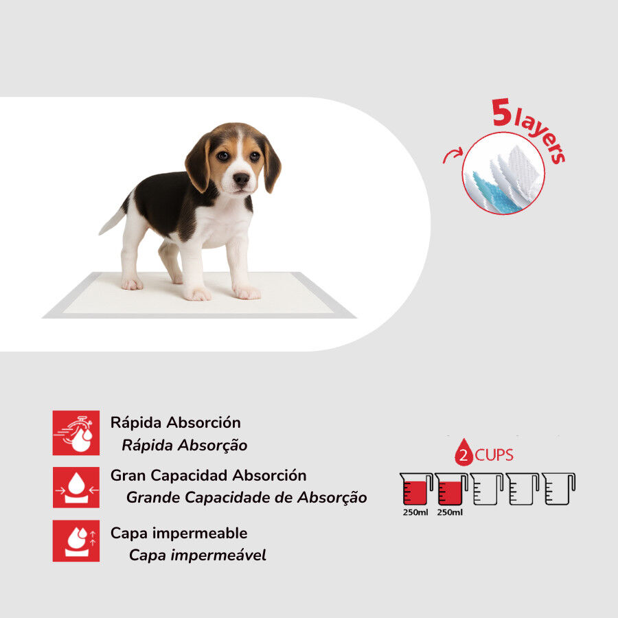 TK Pet Resguardos para c&atilde;es, , large Imagem n&uacute;mero 2