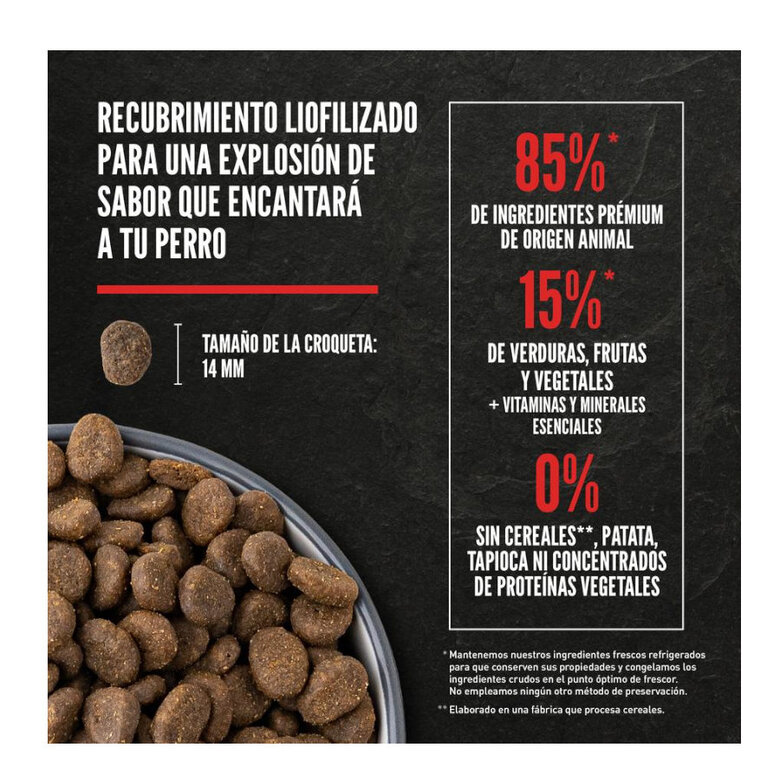 11 kg Orijen Six Fish Adult ração para cães,  Imagem número 5 11 kg Orijen Six Fish Adult ração para cães, , large Imagem número 5