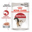 85 g Royal Canin Instinctive patê saqueta para gatos, , large Indicador imagem número 1