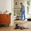 Beaphar CatComfort spray relaxante para stress ocasional em gatos, , large Indicador imagem número 3