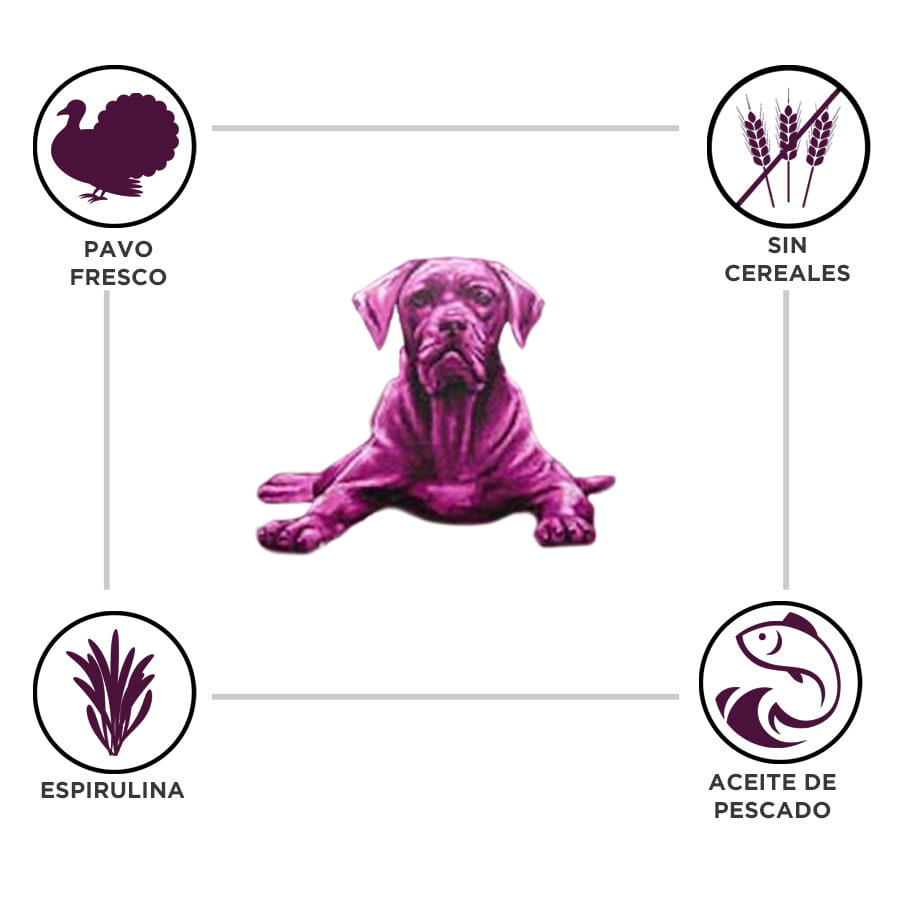 12 kg Criadores Grain Free Peru ra&ccedil;&atilde;o c&atilde;es ra&ccedil;as m&eacute;dias e grandes, , large Imagem n&uacute;mero 2