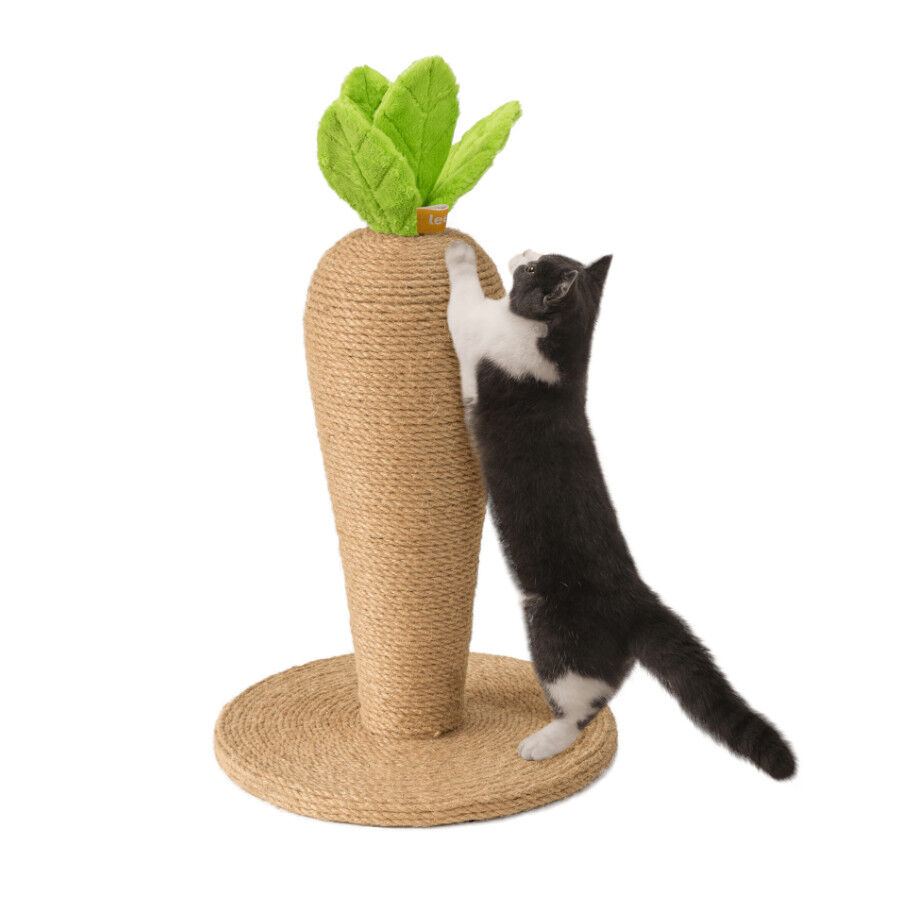 Leeby Carlos Cenoura arranhador de juta para gatos, , large Imagem n&uacute;mero 3