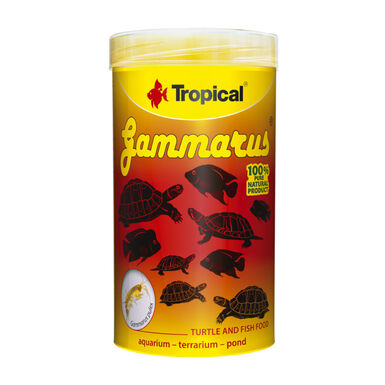 Comida de tartaruga tropical Gammarus