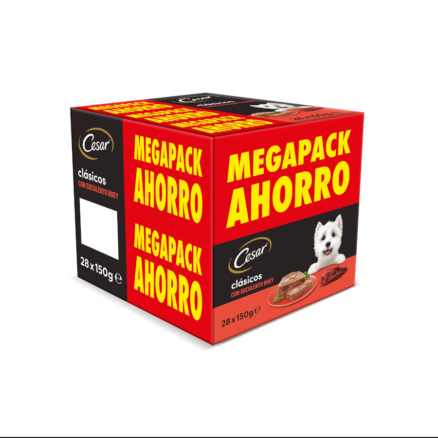 28 terrinas x 150 g (20 + 8 terrinas gr&aacute;tis!) Cesar Boi Terrina em Pat&ecirc; para C&atilde;es, , large Imagem n&uacute;mero 1