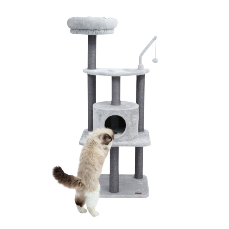 Leeby Kenzo árvore arranhadora com cama para gatos,  Imagem número 5 Leeby Kenzo árvore arranhadora com cama para gatos, , large Imagem número 5