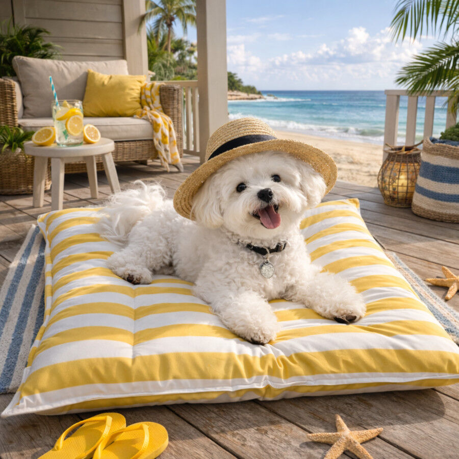 Summer Vibes Cool Rectangular Cama Refrescante para c&atilde;es, , large Imagem n&uacute;mero 1