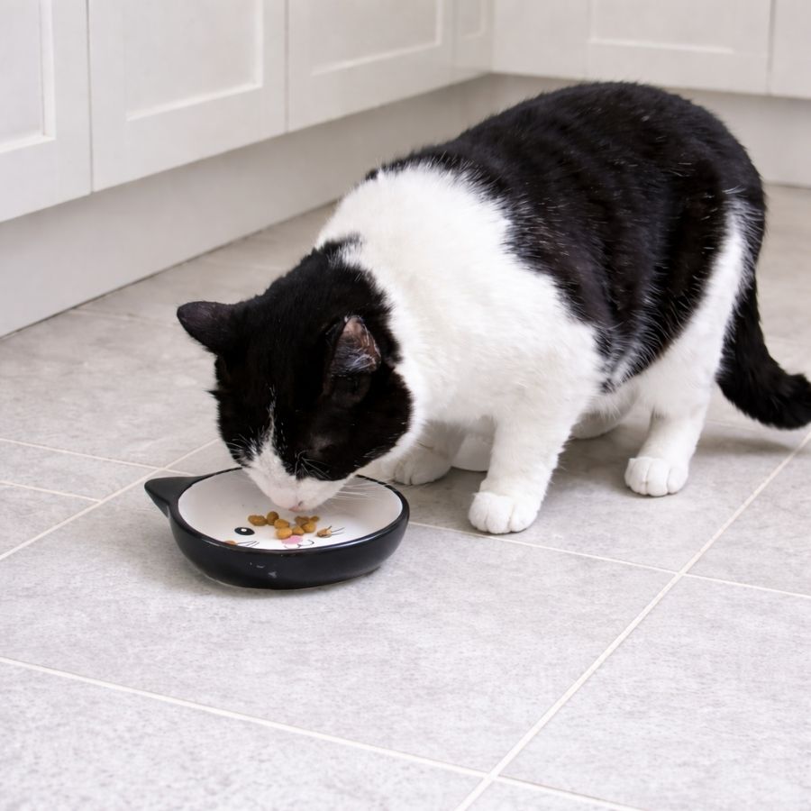 Leeby Comedouro de Cer&acirc;mica Branco e Preto com Orelhinhas para gatos, , large Imagem n&uacute;mero 1