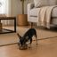 Leeby Comedouro em A&ccedil;o Inoxid&aacute;vel Estampado com Pegadas para c&atilde;es, , large Indicador imagem n&uacute;mero 1