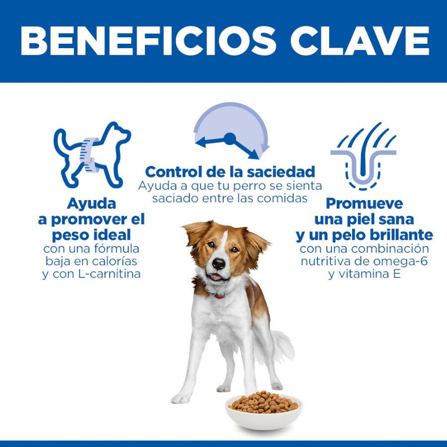 14 kg Hill's Science Plan Adult Medium Frango ra&ccedil;&atilde;o para c&atilde;es, , large Imagem n&uacute;mero 5