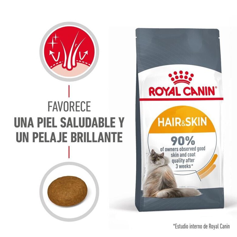 10 kg Royal Canin HaireSkin ração para gatos,  Imagem número 7 10 kg Royal Canin HaireSkin ração para gatos, , large Imagem número 7
