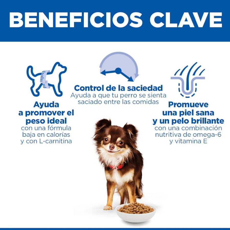 Hill's Smal e Mini Adult Science Plan Frango ra&ccedil;&atilde;o para c&atilde;es, , large Imagem n&uacute;mero 5