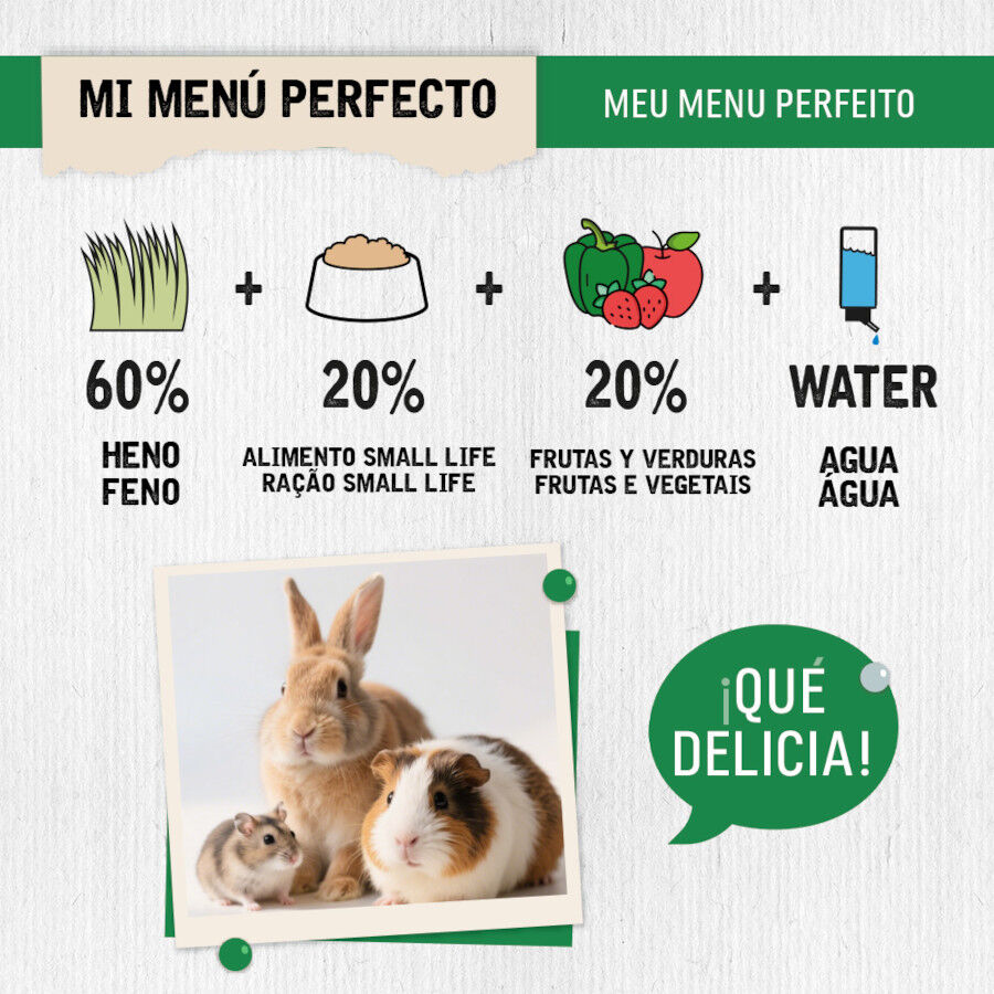 Small Life Feno Timothy com Cal&ecirc;ndula para roedores, , large Imagem n&uacute;mero 4