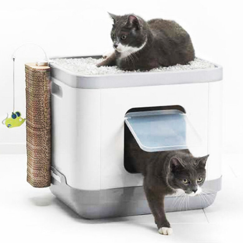 Moderna Catconcept bandeja sanitaria gatos 3 en 1 image number null