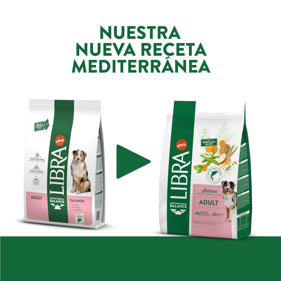 14 kg Libra Adult Salm&atilde;o ra&ccedil;&atilde;o para c&atilde;es, , large Imagem n&uacute;mero 2