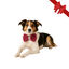 Wonder Christmas Laço natalício vermelho para cães, , large Indicador imagem número 1
