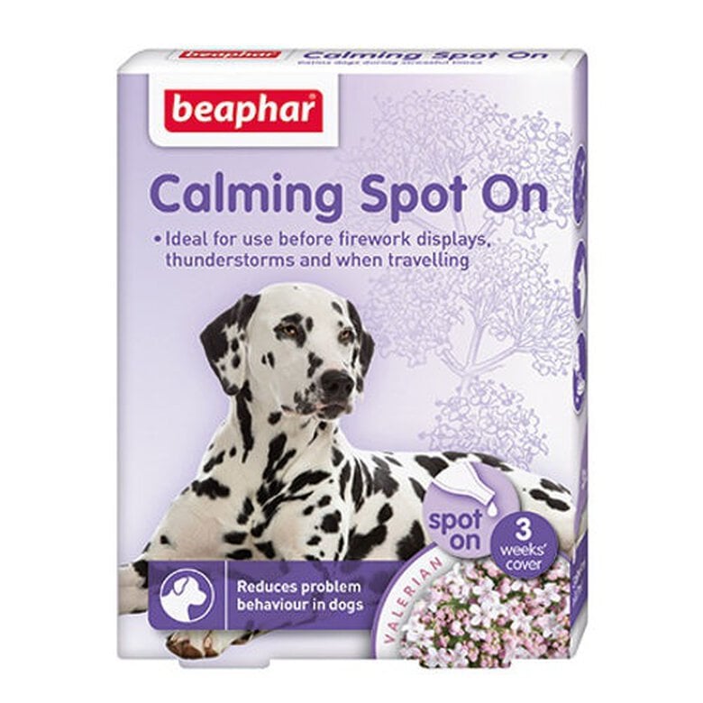 Relajante_perros_beaphar_calming_spot_on_pipetas_valeriana_BEA13900_M Imagem número 1 Beaphar Calming Spot On relajante para perros Imagem número 1